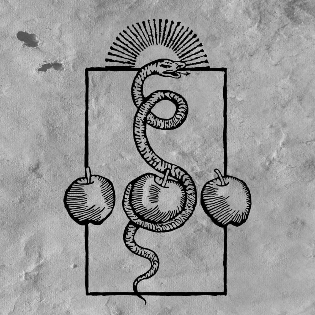 Darvaza - We are Him Vinyl Limited