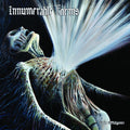 Innumerable Forms – Pain Effulgence Vinyl